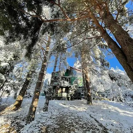 Sapanca Orman Icinde Oezel Havuzlu Villa *
