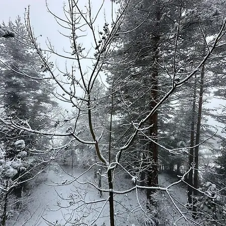 Sapanca Orman Icinde Oezel Havuzlu * Sakarya (Marmara)
