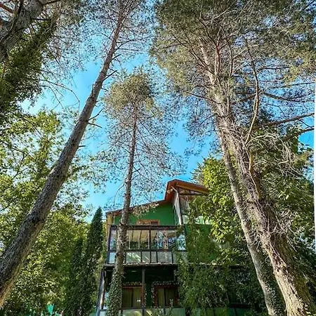 Sapanca Orman Icinde Oezel Havuzlu