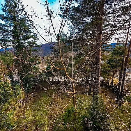 Sapanca Orman Icinde Oezel Havuzlu Villa *