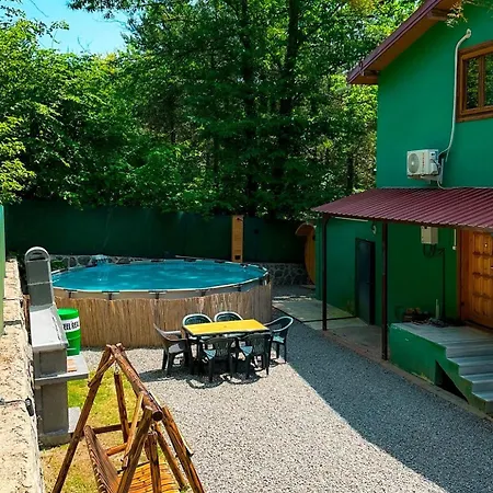 Sapanca Orman Icinde Oezel Havuzlu * 사카리아