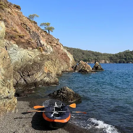 Sapanca Orman Icinde Oezel Havuzlu Villa