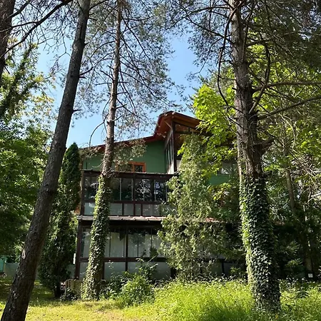 Sapanca Orman Icinde Oezel Havuzlu *