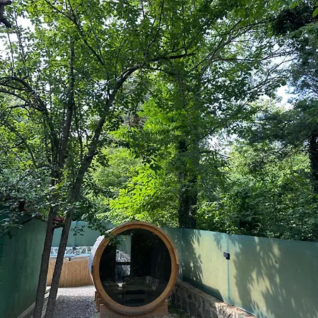 Sapanca Orman Icinde Oezel Havuzlu * Sakarya (Marmara)