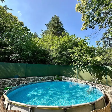 Sapanca Orman Icinde Oezel Havuzlu Villa