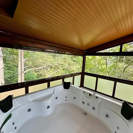 Sapanca Orman Icinde Oezel Havuzlu * Sakarya (Marmara)