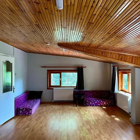 Sapanca Orman Icinde Oezel Havuzlu