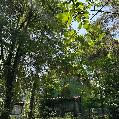 Sapanca Orman Icinde Oezel Havuzlu