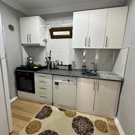 Sapanca Orman Icinde Oezel Havuzlu Sakarya (Marmara)