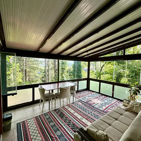 Sapanca Orman Icinde Oezel Havuzlu * Sakarya (Marmara)