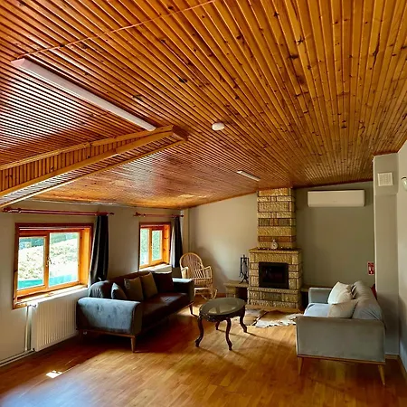Sapanca Orman Icinde Oezel Havuzlu Villa