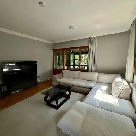 Sapanca Orman Icinde Oezel Havuzlu Villa