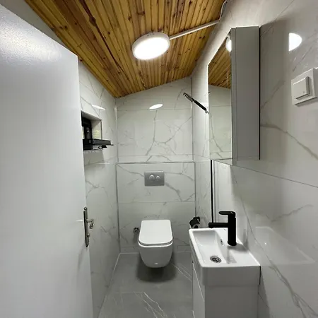 Villa Sapanca Orman Icinde Oezel Havuzlu *