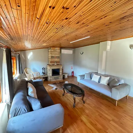 Sapanca Orman Icinde Oezel Havuzlu Villa Sakarya (Marmara)