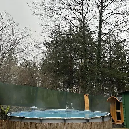 Sapanca Orman Icinde Oezel Havuzlu Villa Sakarya (Marmara)