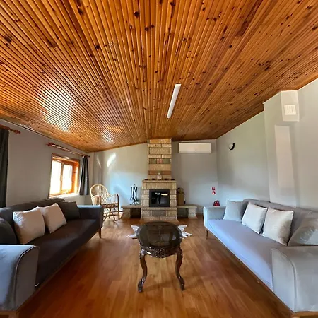 Sapanca Orman Icinde Oezel Havuzlu Sakarya (Marmara)
