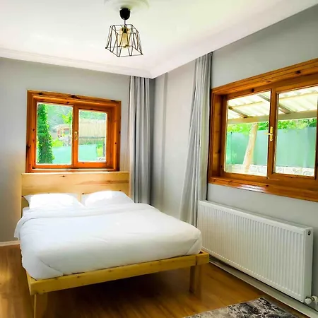 Sapanca Orman Icinde Oezel Havuzlu Villa Sakarya (Marmara)
