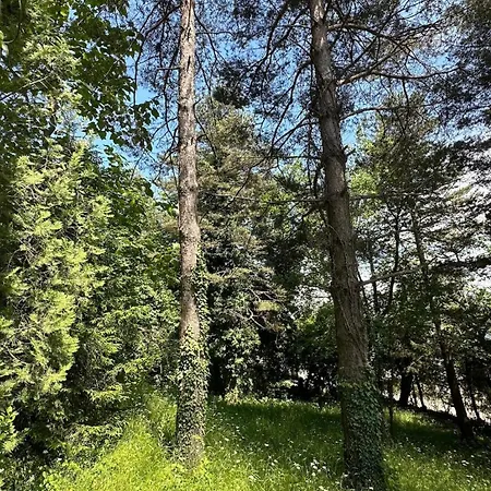 Sapanca Orman Icinde Oezel Havuzlu Sakarya (Marmara)