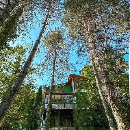 Sapanca Orman Icinde Oezel Havuzlu