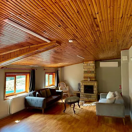 Villa Sapanca Orman Icinde Oezel Havuzlu