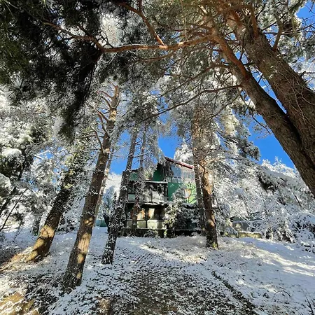 Villa Sapanca Orman Icinde Oezel Havuzlu *
