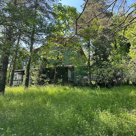 Sapanca Orman Icinde Oezel Havuzlu Sakarya (Marmara)