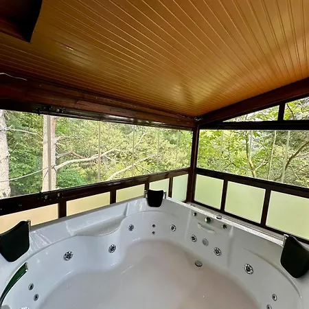 Sapanca Orman Icinde Oezel Havuzlu Villa